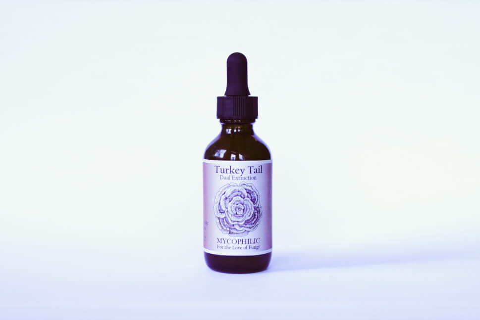 Turkey Tail | 2 oz. Extract - Blackbird Infoshop