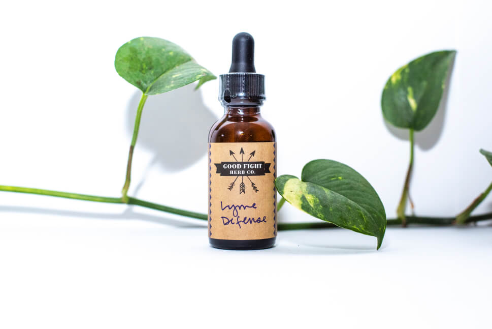 Lyme Defense Tincture | 1oz. - Blackbird Infoshop