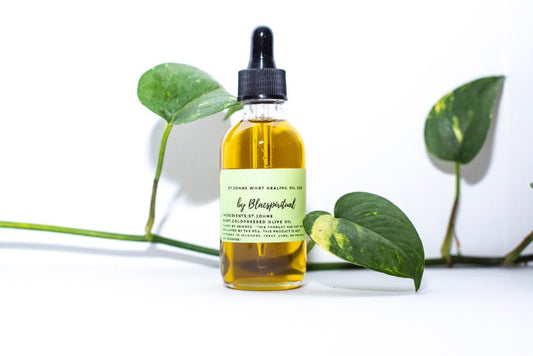 St. John’s Wort Healing Oil - Blackbird Infoshop